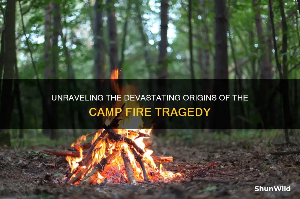 how was camp fire caused