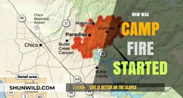 Unraveling the Devastating Origins of the Camp Fire Tragedy
