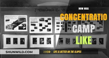 Life in the Shadows: Inside the Harrowing Reality of Concentration Camps