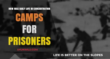 Daily Life in Concentration Camps: Survival, Struggle, and Resilience