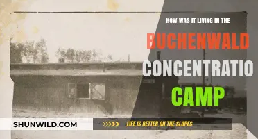 Life in Buchenwald: Survival, Suffering, and Stories from the Camp