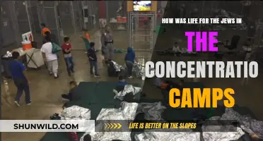 Life in the Shadows: Jewish Experiences in Concentration Camps