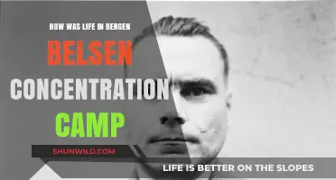 Life in Bergen-Belsen: Survival, Suffering, and Liberation Stories