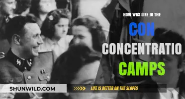 Life in Concentration Camps: Survival, Suffering, and Resilience