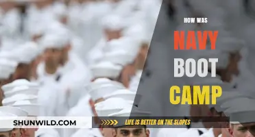 Navy Boot Camp: A Raw, Honest Look at the Transformative Journey