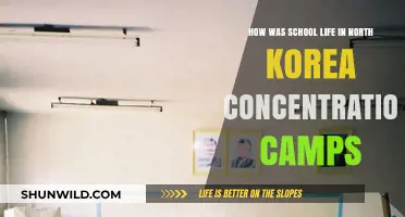 North Korea's Hidden Schools: Life Inside Concentration Camps