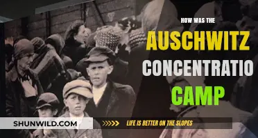 Auschwitz: Unveiling the Horrors of a Nazi Concentration Camp