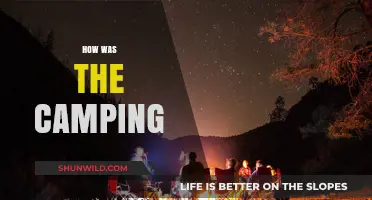 Under the Stars: My Unforgettable Camping Adventure and Experiences