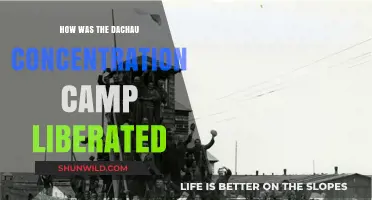 Liberation of Dachau: The Day Allied Forces Freed the Camp