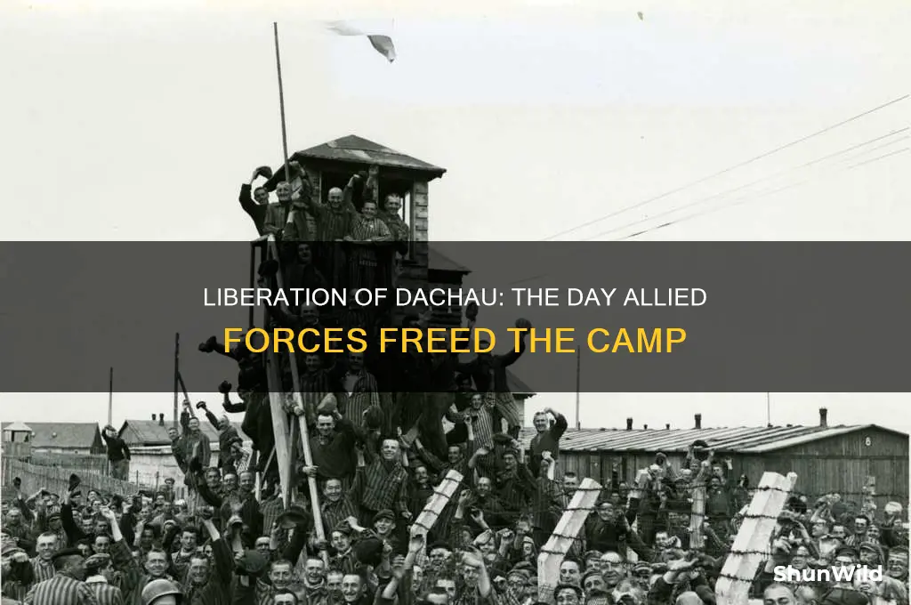 how was the dachau concentration camp liberated