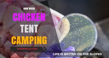 Camping Clean: Safe Chicken Washing Tips for Tent Adventures
