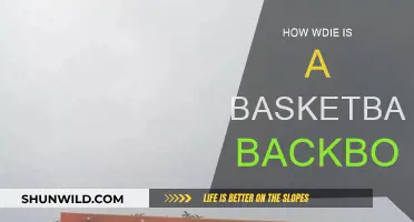 The Width of a Basketball Backboard: Regulation Standards
