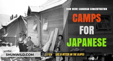 Canada's Dark History: Japanese Internment Camps During World War II