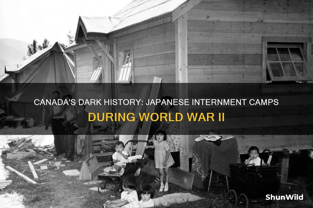 how were canadian concentration camps for japanese