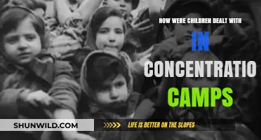Innocence Lost: Children's Plight in Concentration Camps