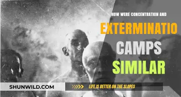 Concentration and Extermination Camps: Shared Structures of Terror and Genocide