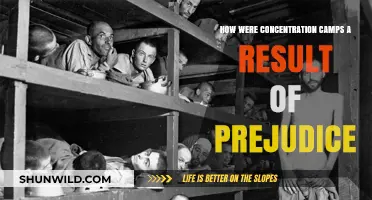 Prejudice Unleashed: The Dark Path to Concentration Camps