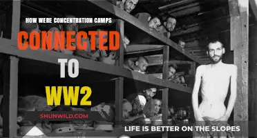 Concentration Camps: The Dark Nexus of World War II