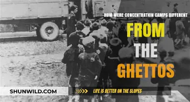 Concentration Camps vs. Ghettos: Key Differences and Historical Context