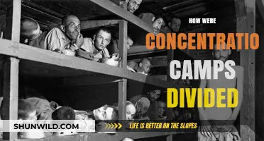 Understanding the Hierarchy: How Concentration Camps Were Divided Internally