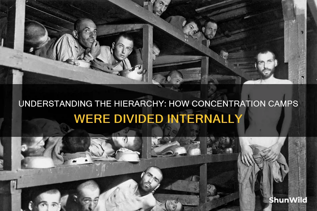 how were concentration camps divided