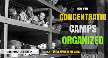 Understanding the Structure and Organization of Concentration Camps