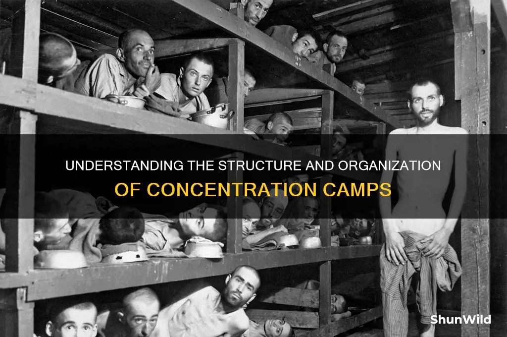 how were concentration camps organized