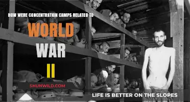 Concentration Camps: The Dark Legacy of World War II