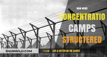 Unveiling the Chilling Organization of Concentration Camps: A Structural Analysis