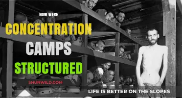 Understanding the Hierarchical Structure of Nazi Concentration Camps