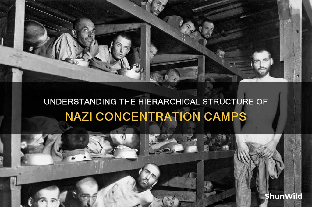 how were concentration camps structured