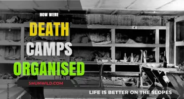 The Structure and Organization of Nazi Death Camps: A Historical Overview