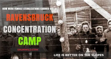 Female Sterilizations at Ravensbrück: Methods and Medical Atrocities