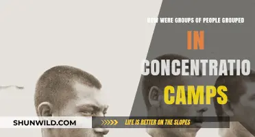 Categorizing Inmates: The Systematic Grouping in Concentration Camps Explained