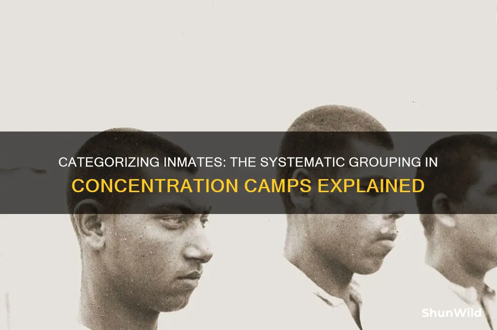 how were groups of people grouped in concentration camps