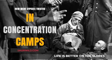 Persecution and Survival: Gypsies' Plight in Nazi Concentration Camps