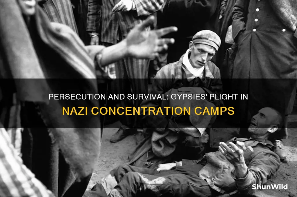 how were gypsies treated in concentration camps