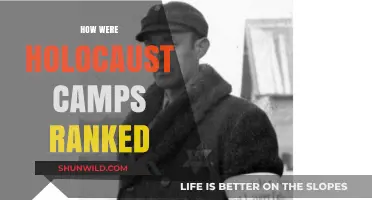 Understanding the Hierarchy: Ranking Holocaust Camps by Purpose and Scale