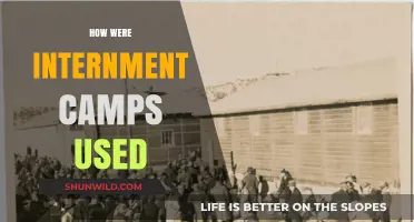 Internment Camps: A Dark History of Forced Detention and Injustice