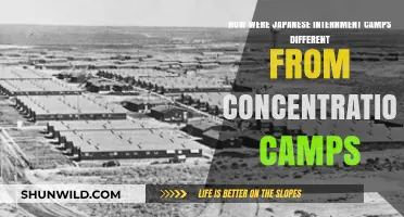 Japanese Internment vs. Concentration Camps: Key Differences Explained