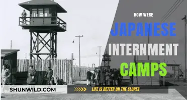Unveiling the Dark History of Japanese Internment Camps in America