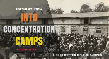 Persecution and Deportation: How Jews Were Forced into Concentration Camps