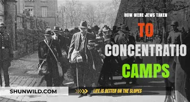 The Forced Deportation of Jews to Concentration Camps: A Historical Overview