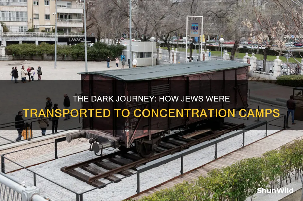 how were jews transported to concentration camps