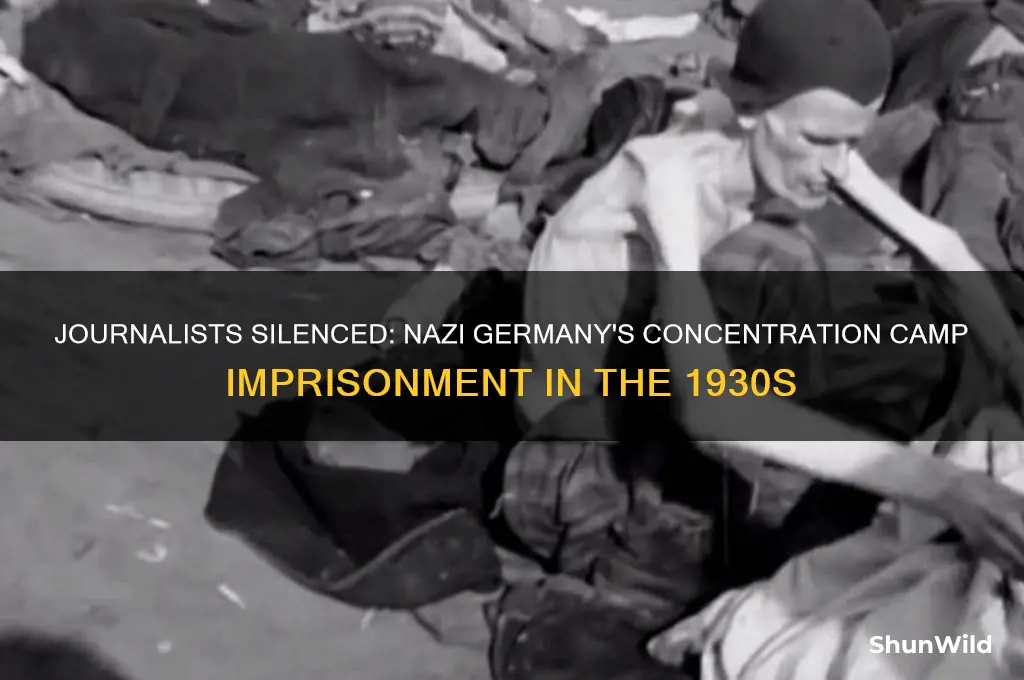 how were journalists sent to concentration camps in 1930s germany
