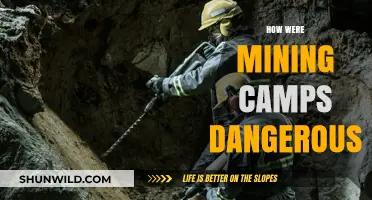 Deadly Risks: Uncovering the Hazards of Life in Mining Camps