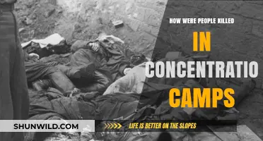 Methods of Mass Murder: Understanding Concentration Camp Killings