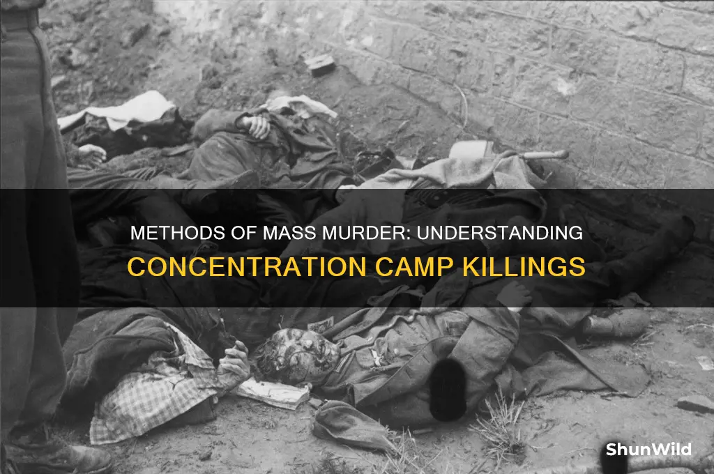 how were people killed in concentration camps