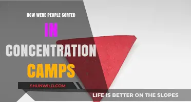 Sorting Humanity: The Brutal Classification System in Concentration Camps