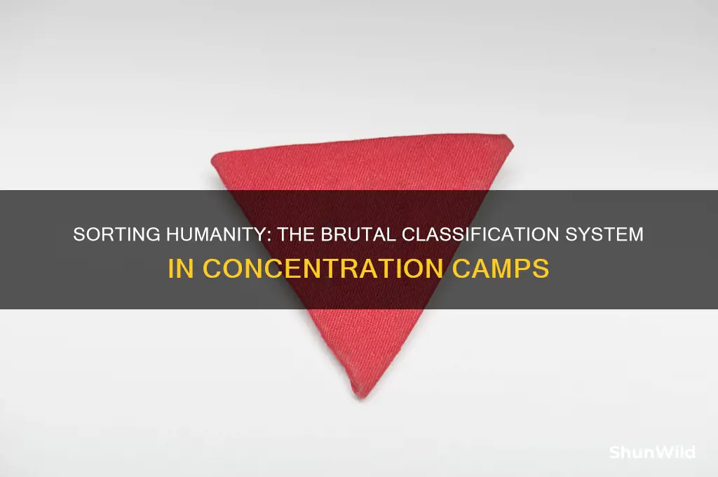 how were people sorted in concentration camps